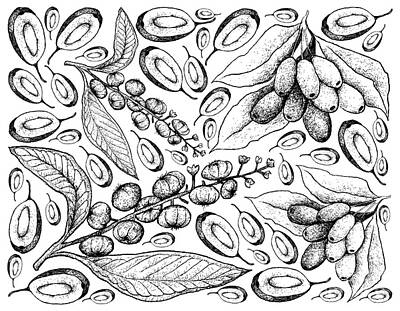 Landmarks Drawings - Hand Drawn Background of American Pokeweed and Jambolan Plums by Iam Nee