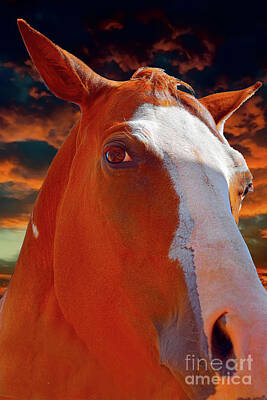 Thomas Moran Royalty Free Images - Horse eye Royalty-Free Image by Sherry Little Fawn Schuessler