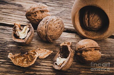 A White Christmas Cityscape Royalty Free Images - Image of walnut grains in rustic style Royalty-Free Image by Wdnet Studio