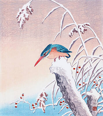 Birds Drawings - Kingfisher in the snow by Ohara Koson  by Mango Art