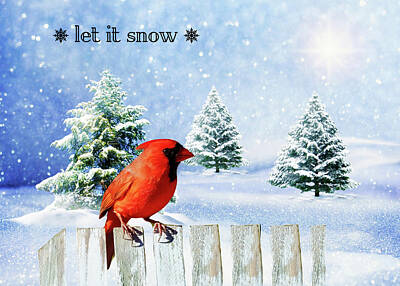 Discover Inventions - Let It Snow by Cathy Kovarik