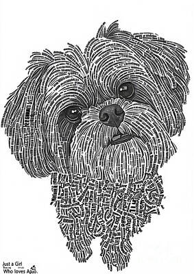 Animals Drawings - Lhasa Apso  by Grover Mcclure