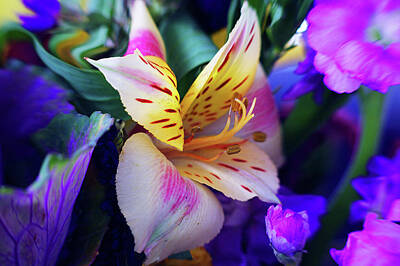Lilies Digital Art - Like A Lily by Arthur Miller