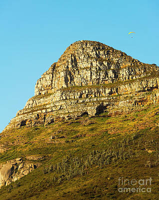 Animals Photos - Lions Head Peak In Cape Town, South Africa by THP Creative
