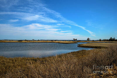 Wine Royalty-Free and Rights-Managed Images - Long Island Beaches by Stef Ko