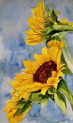 Sunflowers Royalty-Free and Rights-Managed Images - Looking Up by Nicole Curreri