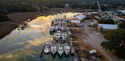 Western Buffalo Royalty Free Images - McClellanville Harbor Royalty-Free Image by Norma Brandsberg
