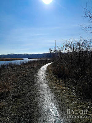 Frank J Casella Royalty-Free and Rights-Managed Images - Mild Winter Wetlands Trail by Frank J Casella