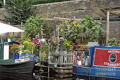 Watercolor Butterflies Rights Managed Images - Narrow Boats And Garden At Hebden Bridge Royalty-Free Image by Michael Walters