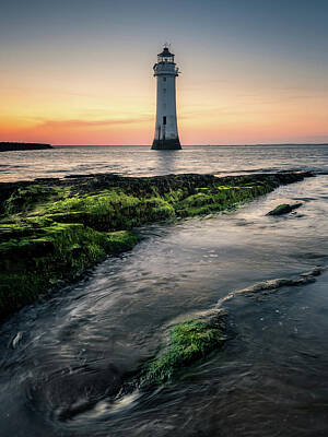Grateful Dead Royalty Free Images - New Brighton Lighthouse Royalty-Free Image by Andrew George Photography