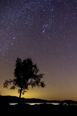 Target Threshold Photography - Night Sky Over Townsend by Jayme Spoolstra