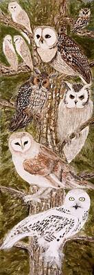 Animals And Earth - Owls by Yelena Wilson