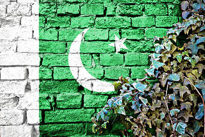 Science Collection - Pakistan grunge flag on brick wall with ivy plant by Brch Photography