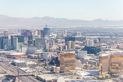 Barnyard Animals - Panorama of Las Vegas, Nevada, USA at daytime by Maria Kray