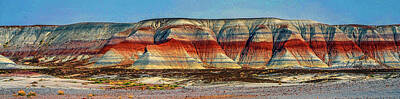 Christmas Ornaments - Petrified Forest Panorama by James C Richardson