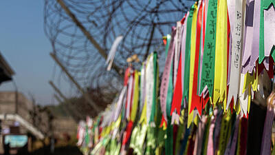 Bald Eagle - Prayer ribbons attached to a barb wire fence at the Korean Demilitarized Zone by Snap-T Photography