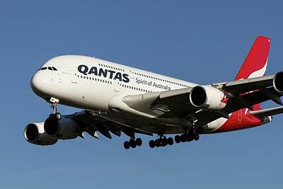 Fall Animals Rights Managed Images - Qantas Airbus A380 Airliner  Royalty-Free Image by David Pyatt