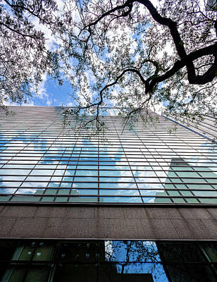 Granger - Reflective Glass Building and Trees by Robert Ullmann