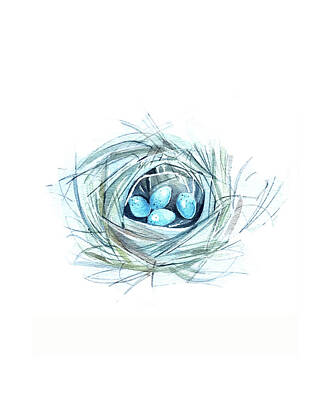 Paintings - Robins Nest by Luisa Millicent