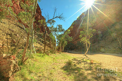 Negative Space Rights Managed Images - Simpsons Gap in dry season Royalty-Free Image by Benny Marty