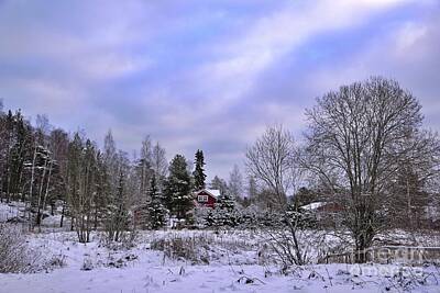 Barnyard Animals - Snowy landscape 2 by Esko Lindell