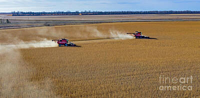 Kitchen Food And Drink Signs - Soybean Harvest by Jim West