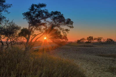 Western Buffalo Royalty Free Images - Sunset on Hunting Island South Carolina 8 Royalty-Free Image by Steve Rich