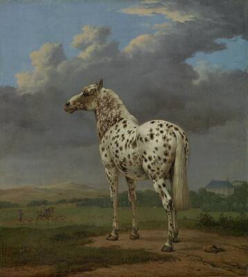 Animals Paintings - The  Piebald  Horse about 1650 by MotionAge Designs