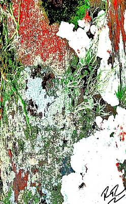 Abstract Royalty-Free and Rights-Managed Images - Tree Bark by RTC Abstracts