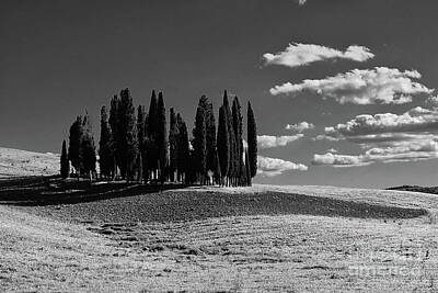Landscapes Royalty-Free and Rights-Managed Images - Tuscany landscape by Exors