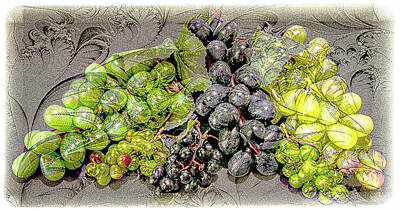 Lori A Cash Royalty-Free and Rights-Managed Images - Vintage Grape Digital Wine Art by Lori A Cash