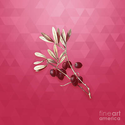 Staff Picks Rosemary Obrien Royalty Free Images - Vintage Olive Tree in Gold on Viva Magenta Royalty-Free Image by Holy Rock Design