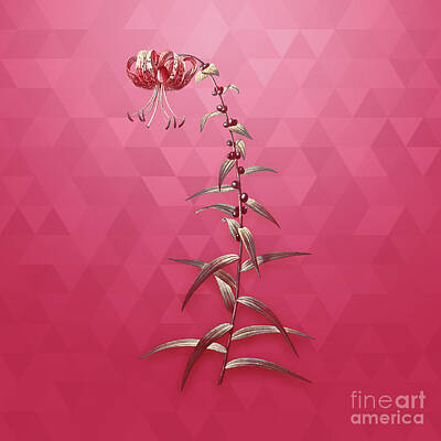 Mixed Media - Vintage Tiger Lily in Gold on Viva Magenta by Holy Rock Design