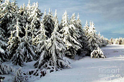 Landscapes Rights Managed Images - Winter Royalty-Free Image by Roland Stanke