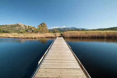 Mid Century Modern Royalty Free Images - Wooden bridge at Ostriconi in Corsica Royalty-Free Image by Jon Ingall