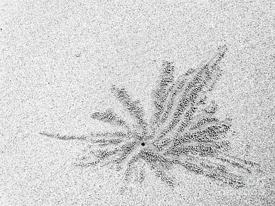 Target Project 62 Scribble - Art of Nature on beach sand by Kiran Joshi