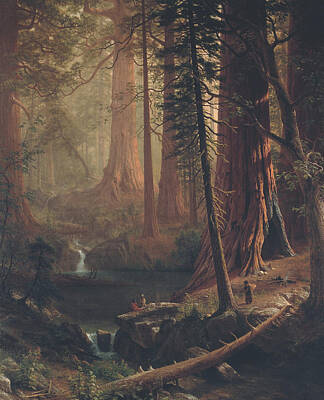 Royalty-Free and Rights-Managed Images - Giant Redwood Trees of California by Albert Bierstadt  by Mango Art