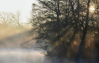Wine Beer And Alcohol Patents - Beautiful landscape image of sunrise mist on urban lake with sun by Matthew Gibson