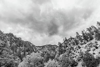 Mountain Photos - Colorado  by Frank Conrad