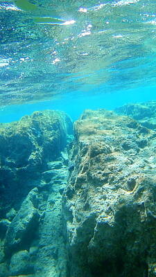 Winter Animals - Sea Turtle Caretta - Caretta Zakynthos Island Greece by GiannisXenos Underwater Photography