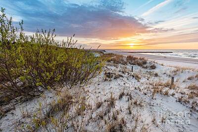Beach Photos - Beach grass on dune, Baltic sea at sunset by Michal Bednarek