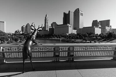 Mammals Royalty Free Images - Columbus Ohio skyline in black and white Royalty-Free Image by Eldon McGraw