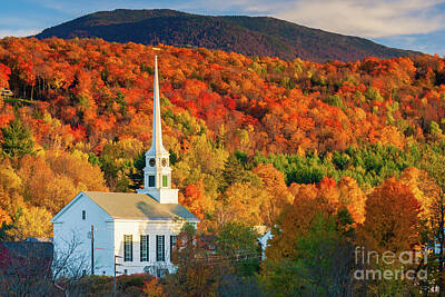 Amy Hamilton Animal Collage - Rural Vermont town during peak foliage season. by Don Landwehrle