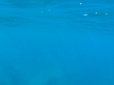 Gustav Klimt - GiannisXenos Underwater Photography by GiannisXenos Underwater Photography