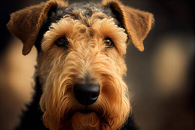 David Bowie - Airedale Terrier Portrait by Stephen Smith Galleries