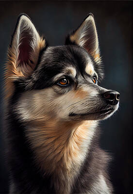 Kids Alphabet Royalty Free Images - Alaskan Klee Kai Portrait Royalty-Free Image by Stephen Smith Galleries