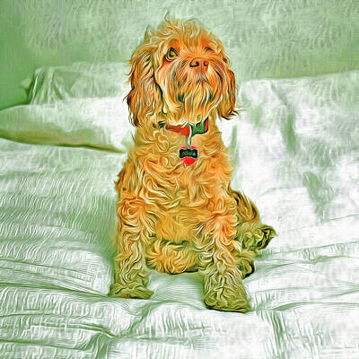 Only Orange - Pet Dog Pictures Large and Small Breeds by John Shepherd
