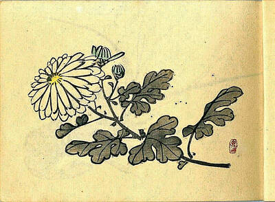 Western Buffalo - 1901 Takeuchi Seiho Shugacho Japanese Original Woodblock Print 4 by Artistic Rifki