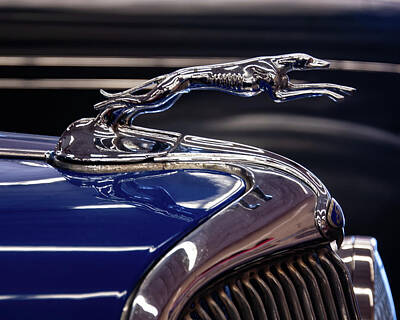 Laundry Room Signs - 1934  Ford Greyhound Hood Ornament by Flees Photos