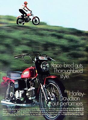 Mans Best Friend Rights Managed Images -  1970 Harley Davidson motorcycles ad Royalty-Free Image by David Lee Thompson